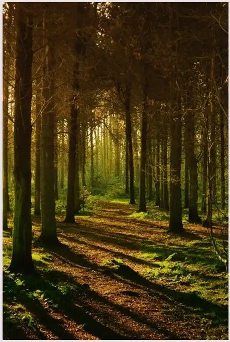 Twisted tale of words