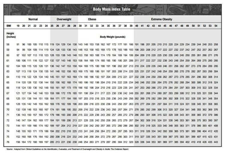 Body Mass Index