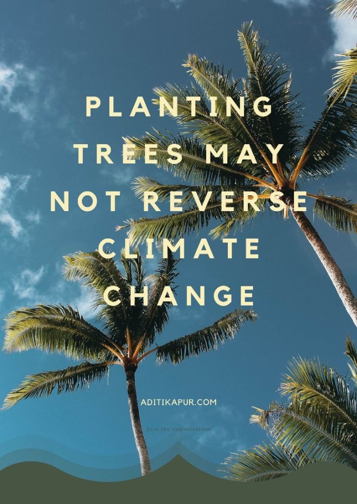 Planting trees not sufficient to reverse climate change