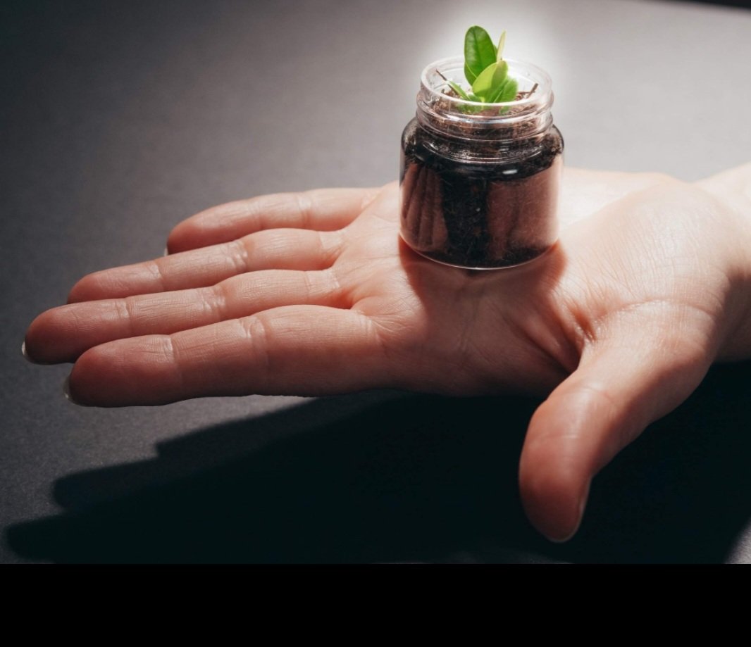 Cannablithe ancient treatment