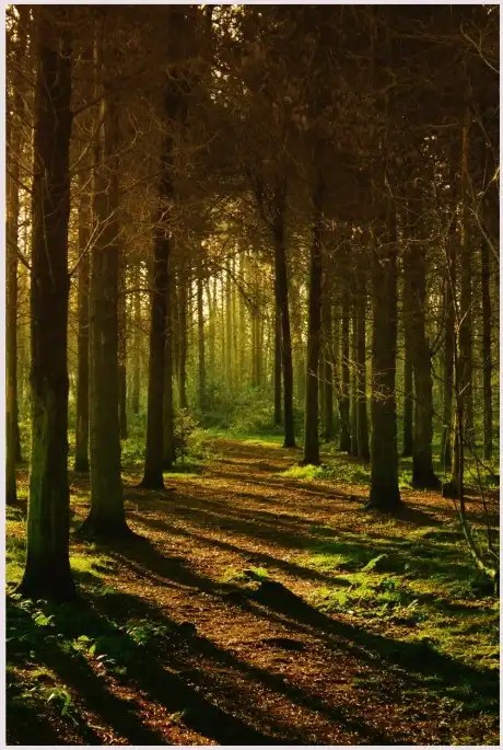 Twisted tale of words